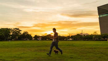 An expansive lawn is designated as an off-leash pet zone where owners can play with their pets freely.